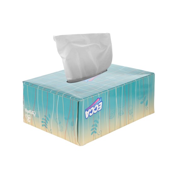 Napkin ECCA  ՓՈՔՐ 120 ՀԱՏ 2Շ (561513) 