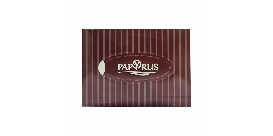 Napkin PAPYRUS DARK 100PC (600307) 