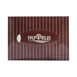 Napkin PAPYRUS DARK 100PC (600307) 