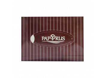 Салфетка PAPYRUS DARK 100PC (600307) 