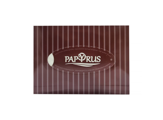 Անձեռոցիկ PAPYRUS DARK 100PC (600307) 