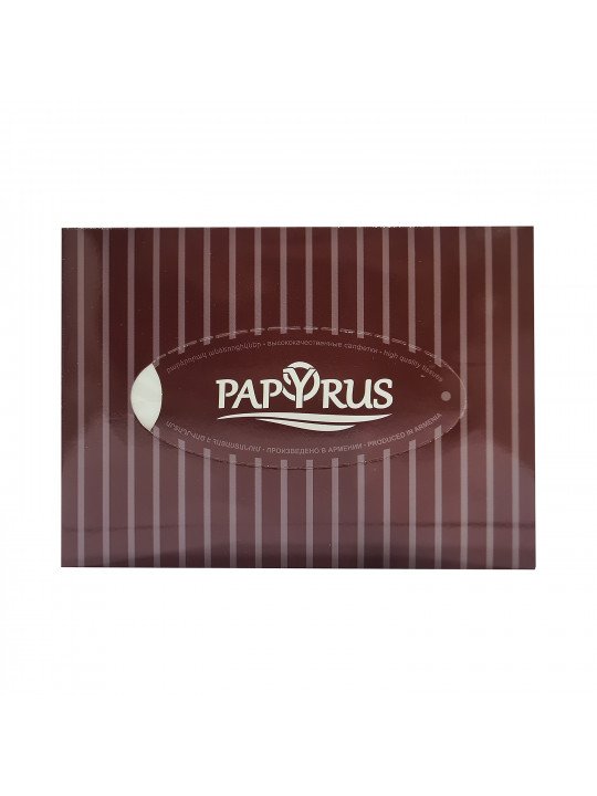 Անձեռոցիկ PAPYRUS DARK 100PC (600307) 