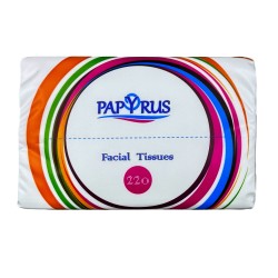 Napkin PAPYRUS ՓՈՔՐ 2Շ 220Հ (600433) 
