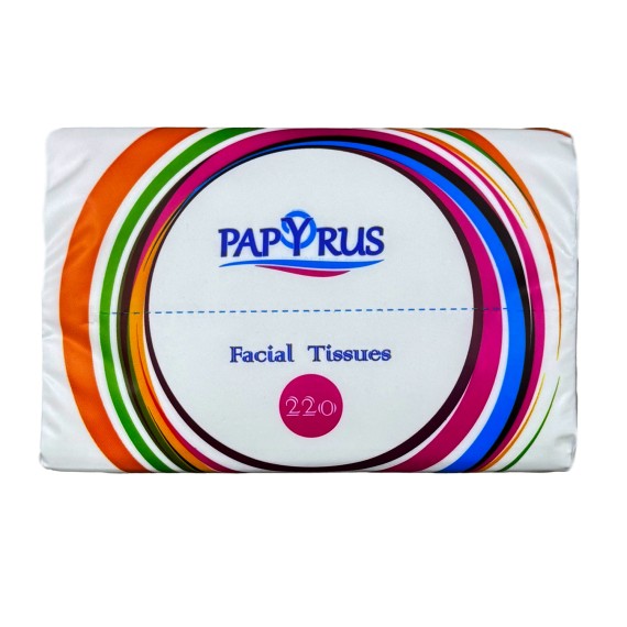 Napkin PAPYRUS ՓՈՔՐ 2Շ 220Հ (600433) 