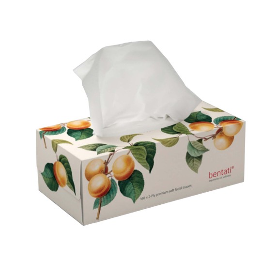 Napkin BENTATI BT2003 APRICOT 2PLY 160PC (720033) 