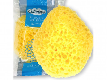 Bath sponge COTONEVE SOFT RELAX 360CV (538829) 