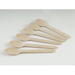 Fork PIKNIK NR 4079 X6 (040798)