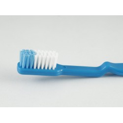 Accessorie for oral care SANEL SUPERDENT 200 (312103)