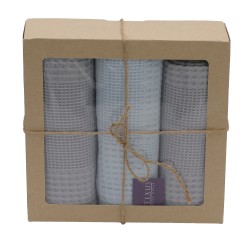 Խոհանոցային սրբիչների հացաքածու VETEXUS VDS BOX 200GSM 3PC GREY WITH SKY BLUE 45X70 (985091) 