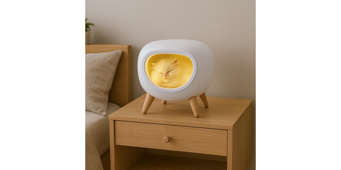 Լուսամփոփ ERA NLED-467-1W-W 