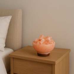 Lampshade BARRY BEAUTY SALT BULB (WITH POT STONES) FLORIAN 