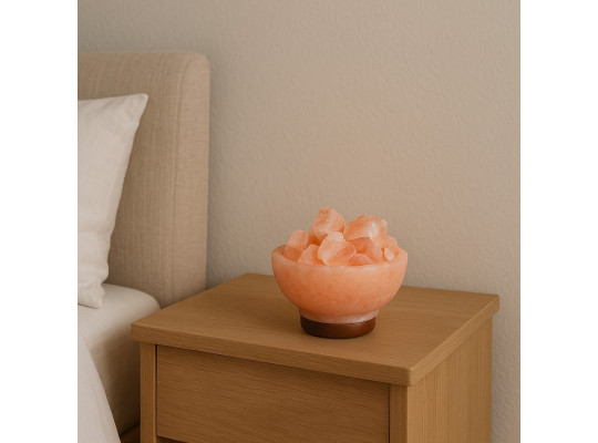 Ночник BARRY BEAUTY SALT BULB (WITH POT STONES) FLORIAN 