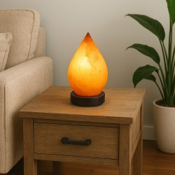 Lampshade BARRY BEAUTY SALT BULB DROP 