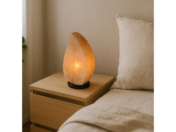 Լուսամփոփ BARRY BEAUTY SALT BULB LEAF 