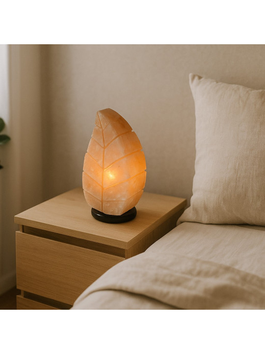 Լուսամփոփ BARRY BEAUTY SALT BULB LEAF 