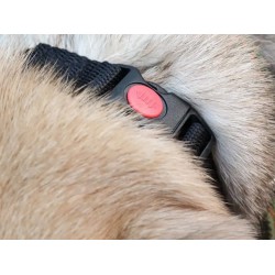 Амуниция для животных 2PETS MUZZLE N0 (477789-135)