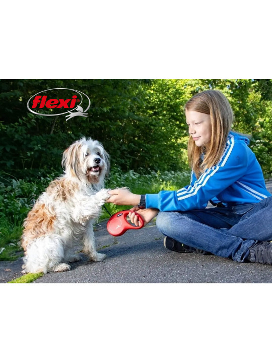 Accessories for pets FLEXI LEASH FOR DOGS 5M 15KG (023204) 