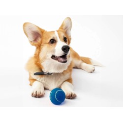 Pet toy BARQ (195031) (-168)
