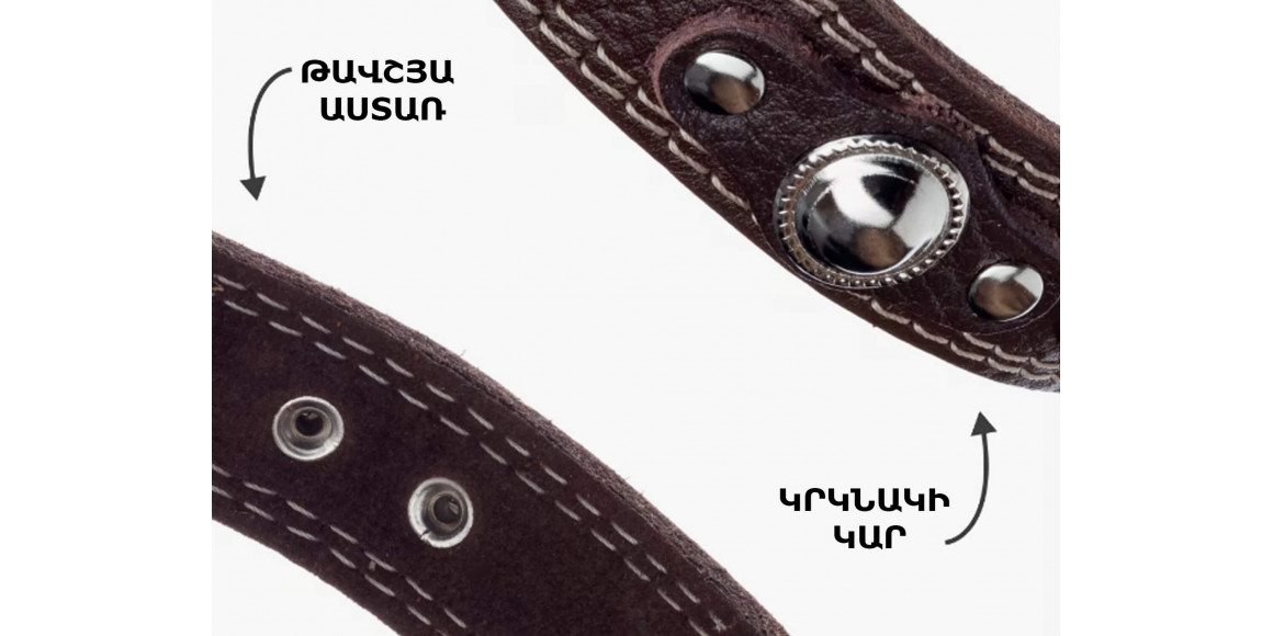 Կենդանիների ամունիցիա EMOTICO.PETS COLLAR 32-40 20MM (082623-108)