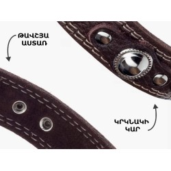 Амуниция для животных EMOTICO.PETS COLLAR 32-40 20MM (082623-108)