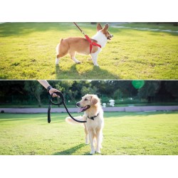 Амуниция для животных HITZEN HARNESS XL (422187-104)