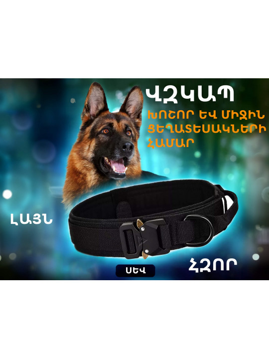 Ammunition for pets MASCOTA COLLAR L (844566) 
