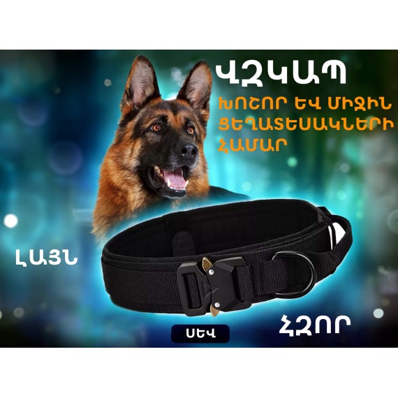 Կենդանիների ամունիցիա MASCOTA COLLAR M (844565-109)