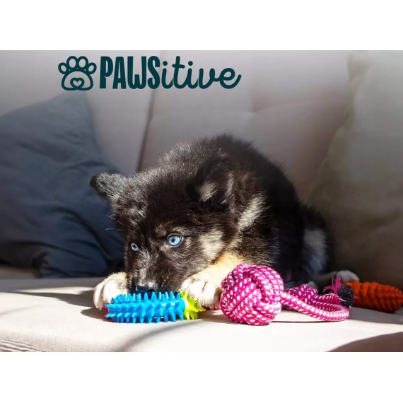 Pet toy PET (247415) (-152)