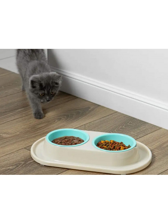 Bowl for feed PET (520245) 