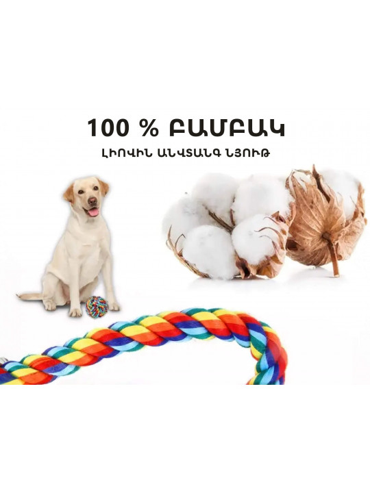 Կենդանիների խաղալիք PET (813350) 