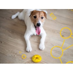 Pet toy PET (858640) (-94)