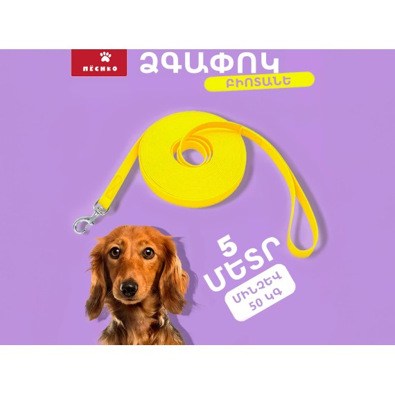 Կենդանիների ամունիցիա PET LEASH 5M (965851-123)