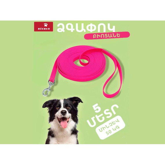 Կենդանիների ամունիցիա PET LEASH 5M (975379-120)