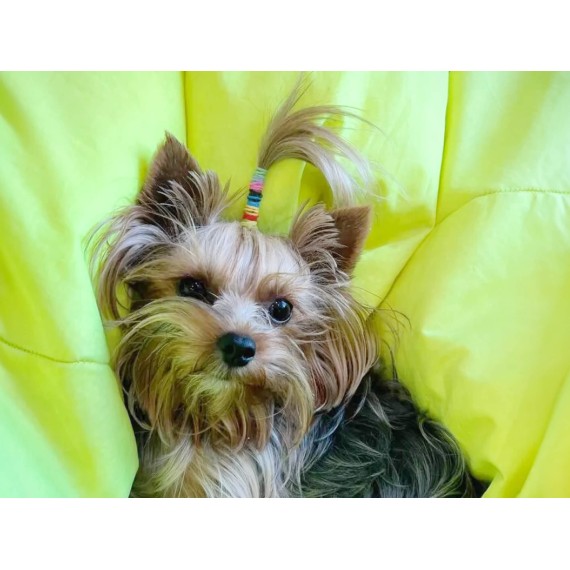 Аксессуары для животных PET SCRUNCHY (726007-230)