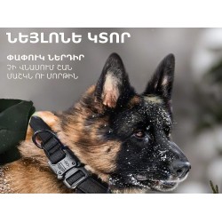 Амуниция для животных PETFORT COLLAR L (860978-290)