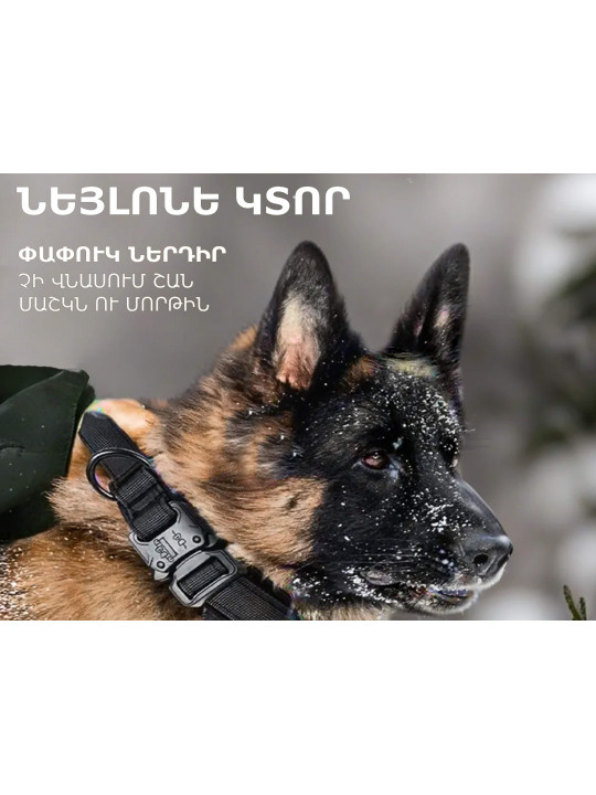 Ammunition for pets PETFORT COLLAR L (860978) 