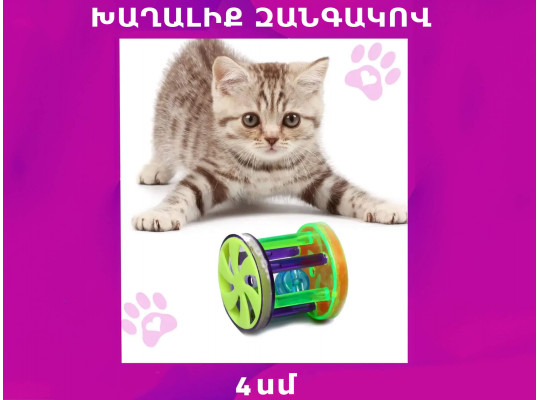 Pet toy PETHOME (230194) 