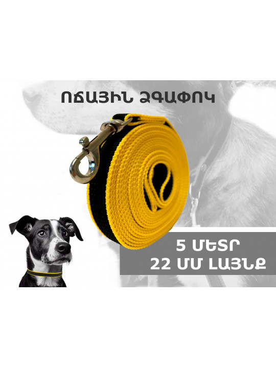 Ammunition for pets PETSARE LEASH (670269) 