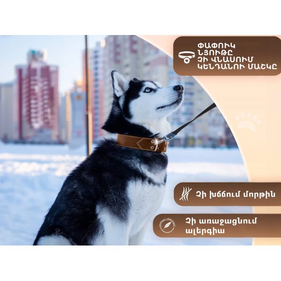 Амуниция для животных REDFOX COLLAR 40X1.5 (646509-111)