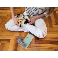 Accessories for pets RIGHT WAY (901575) (-172)