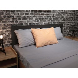 Pillow VETEXUS R 50X70 GT 700 
