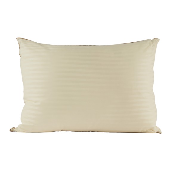 Pillow RESTFUL S 50X70 BM 1250 BEIGE 