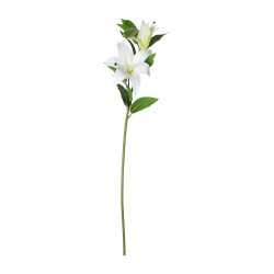 Цветы KOOPMAN TIGER LILY STEM 95CM 4ASS CL (469678) (318800350)