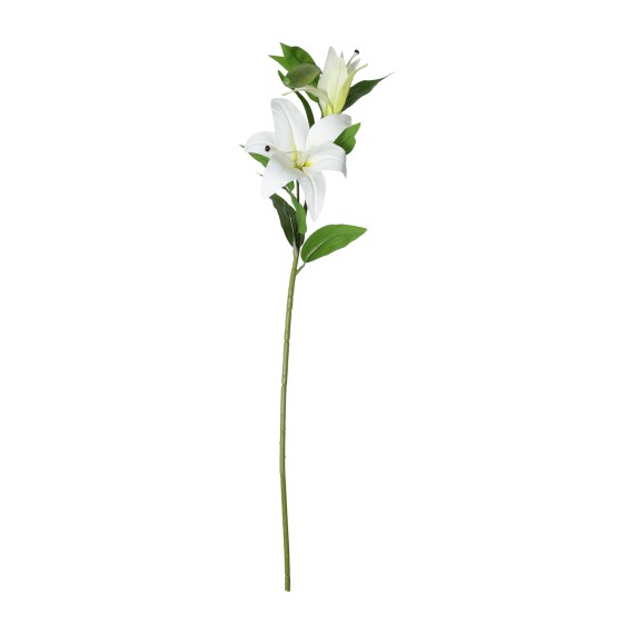 Flowers KOOPMAN TIGER LILY STEM 95CM 4ASS CL (469678) (318800350)