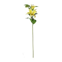 Ծաղիկներ KOOPMAN TIGER LILY STEM 95CM 4ASS CL (469678) (318800350)