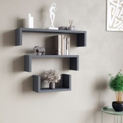 Shelve VEGA EX-B77 0164 (1) 