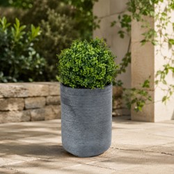 Flowers KOOPMAN BUXUS BALL DIA 18CM (317353750)