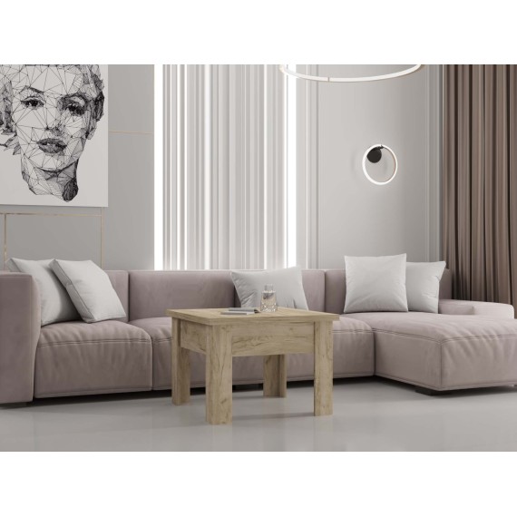 Տրանսֆորմեր սեղան HOBEL E-70X70X140 K002 (1) 
