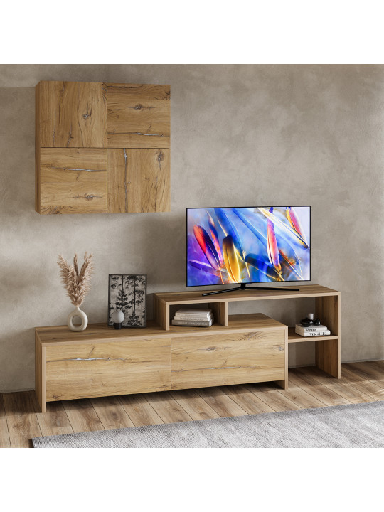 Tv unit VEGA TV MODULE X36 BS 392 (4) 