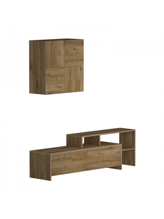 Tv unit VEGA TV MODULE X36 BS 392 (4) 